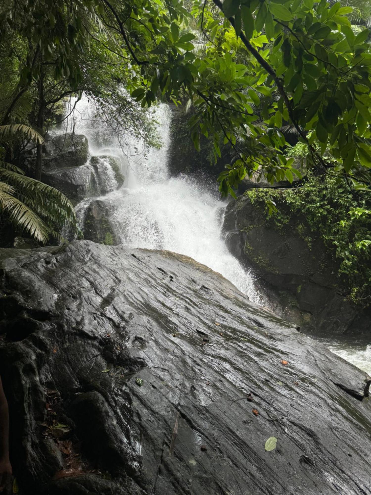 Casa Lucio Resorts Mannarakkat المظهر الخارجي الصورة